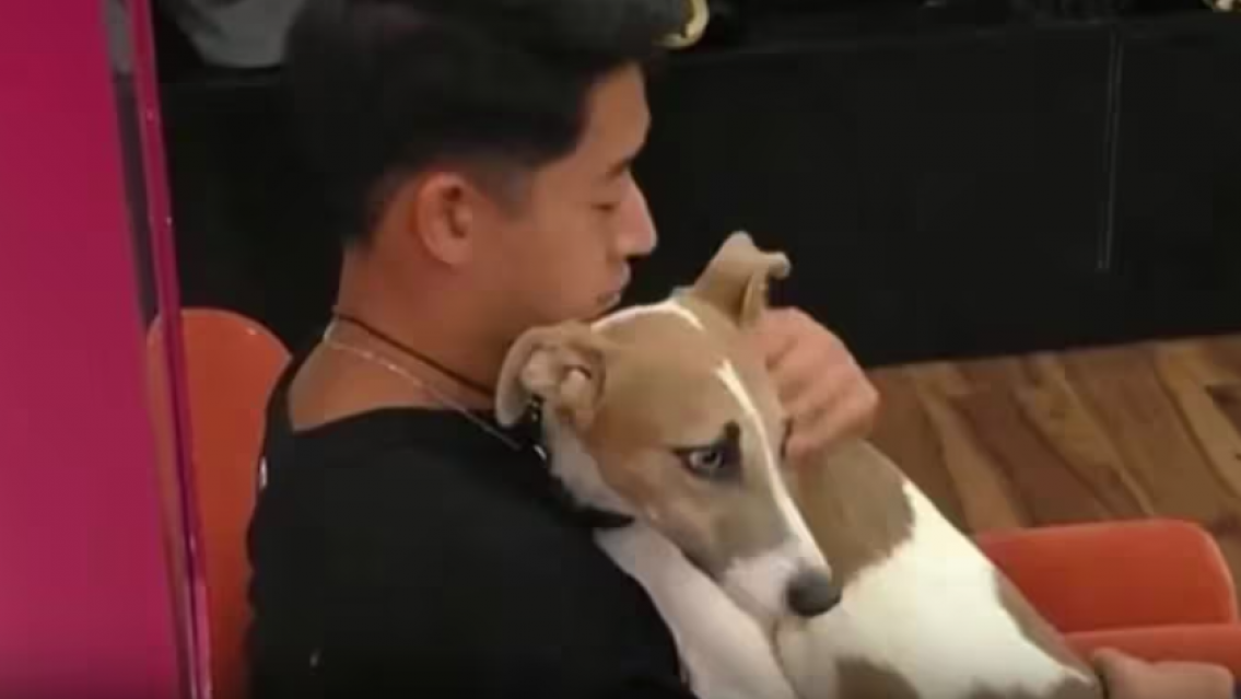 Preocupaci�n por el p�rro de Gran Hermano: "Si se va Mart�n, se va a quedar con Furia"