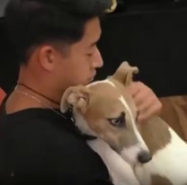 Preocupación por el pérro de Gran Hermano: "Si se va Martín, se va a quedar con Furia"