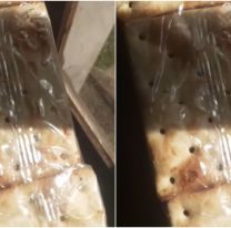 Fue al súper y encontró algo asqueroso: tenía gusanos