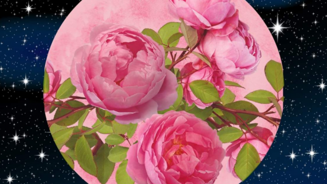 Faltan menos días para La Luna de Las Flores, ¿cómo aprovecharla?