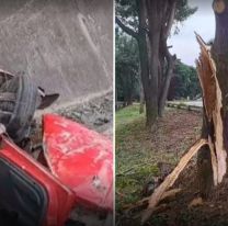 Se durmió y terminó dentro del canal: está en terapia intensiva