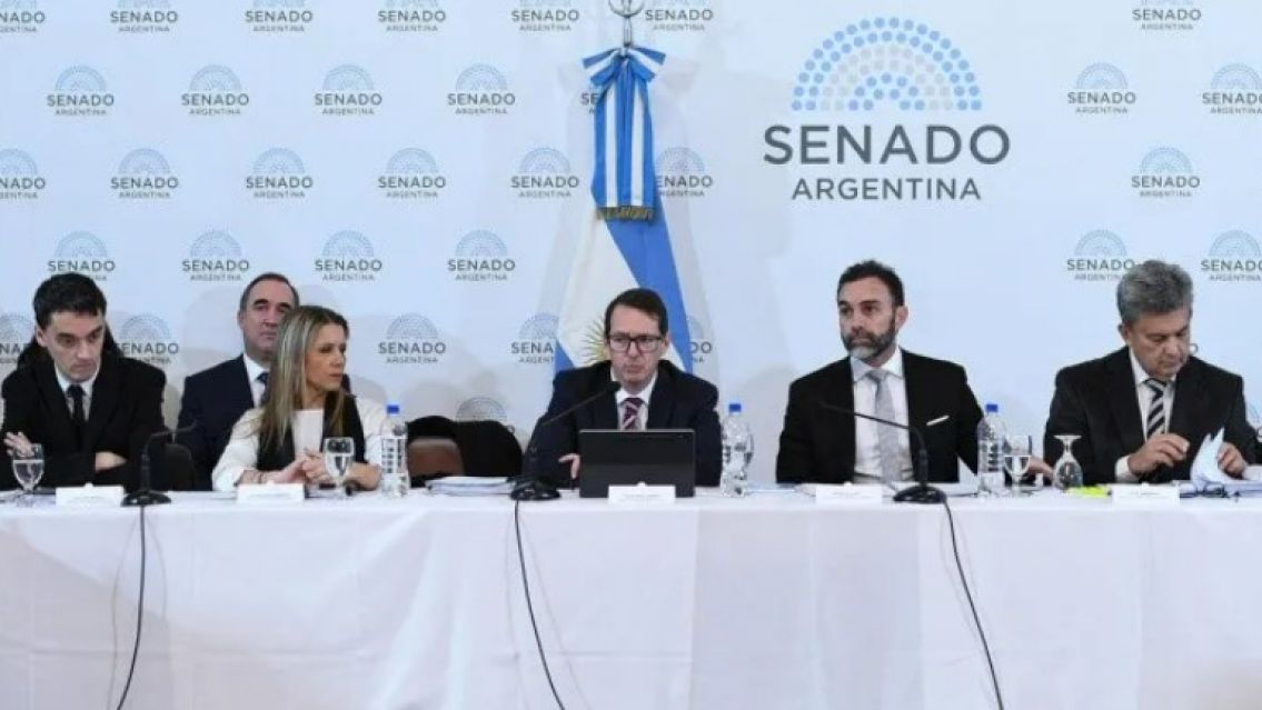 Ley Bases: el oficialismo no consigui� apoyo para emitir dictamen 