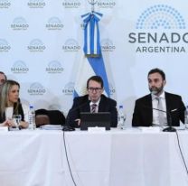 Ley Bases: el oficialismo no consiguió apoyo para emitir dictamen