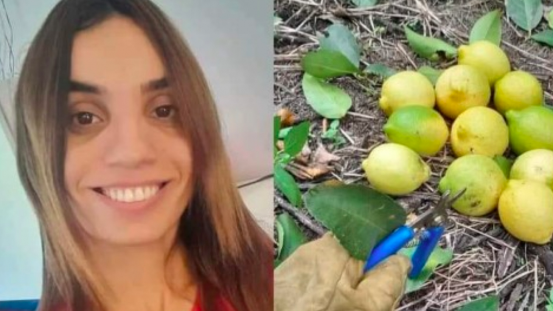 La triste decisión que tomó la joven que se recibió de docente y trabaja en la cosecha