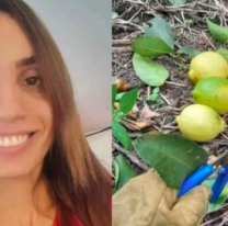 La triste decisión que tomó la joven que se recibió de docente y trabaja en la cosecha