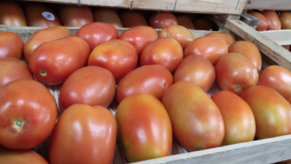 El tomate en Jujuy se volvi� un lujo: el precio est� por las nubes