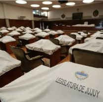 Diputados jujeños entre los que menos trabajan en el país: 4 sesiones en 5 meses