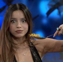 Reapareció Emilia Mernes y no habló de los shows que suspendió: la insólita foto