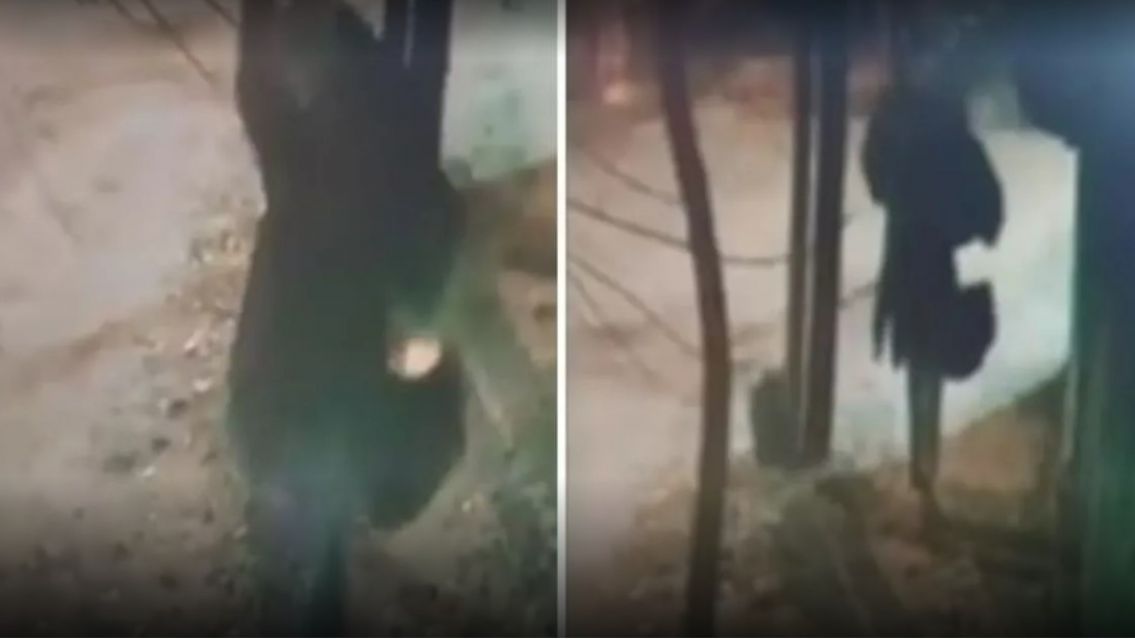 Hallaron muerto a abuelito en el parque: tenía 75 años