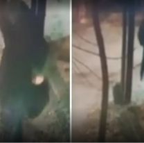 Hallaron muerto a abuelito en el parque: tenía 75 años