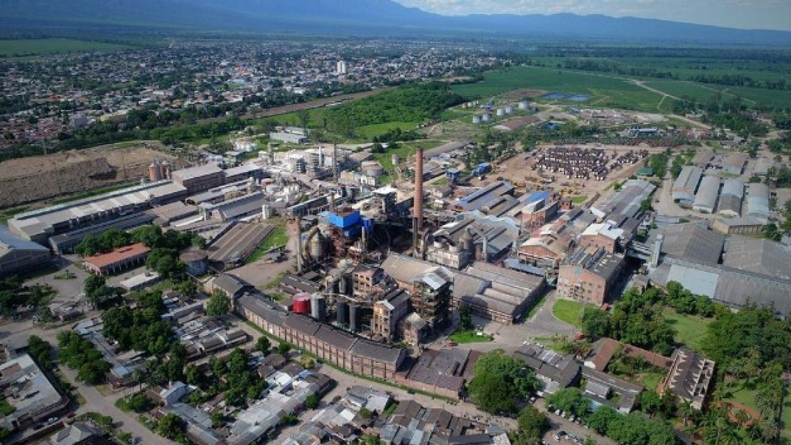 Iniciar� la zafra 2024 en Jujuy: M�s de 40 mil hect�reas 