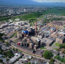 Iniciar&aacute; la zafra 2024 en Jujuy: M&aacute;s de 40 mil hect&aacute;reas 