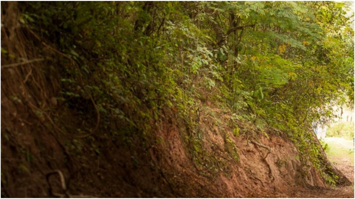 Un macabro hallazgo en Salta: varios cuerpos sin vida en un predio abandonado