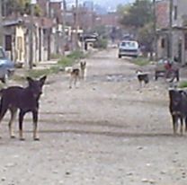 Nena jujeña iba caminando por El Chingo y un desubicado le mostró sus partes