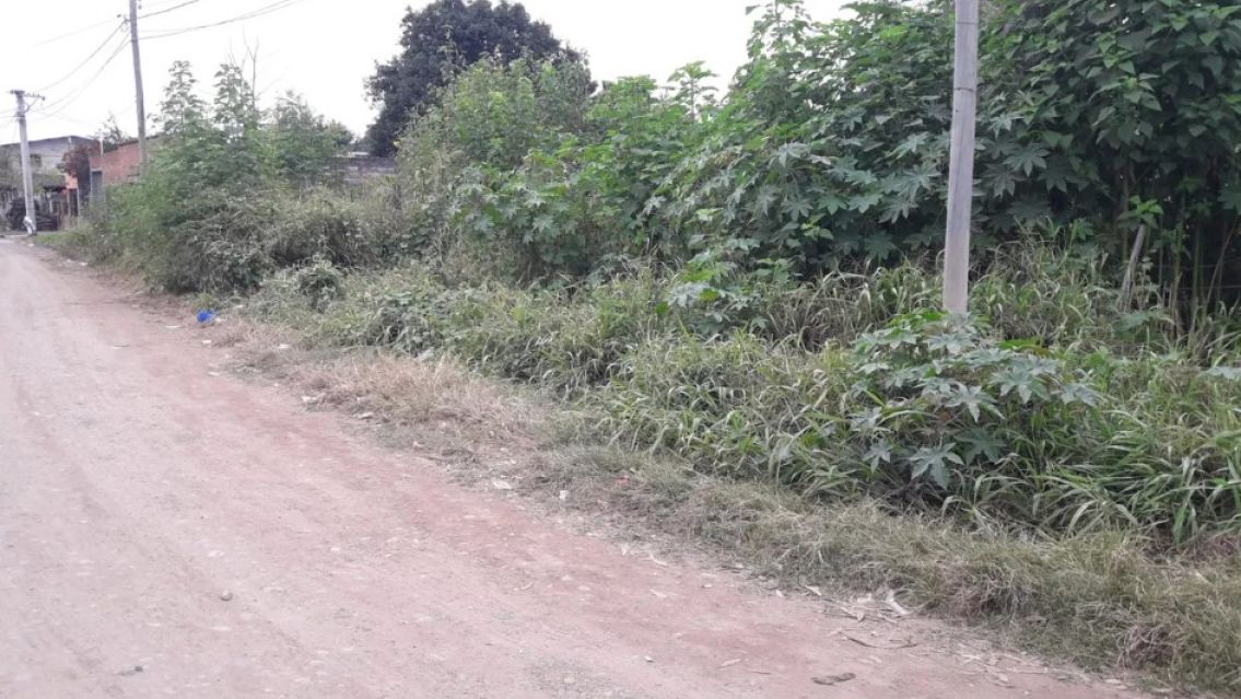 Palpal�: vecinos de R�o Blanco cansados de la falta de luz, calles en mal estado y malezas