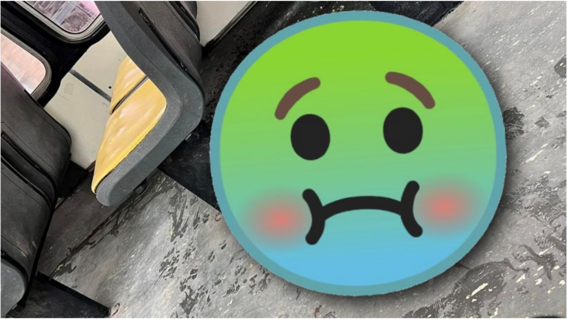 Encontró algo asqueroso arriba del colectivo y pegó un grito: "Es un..."