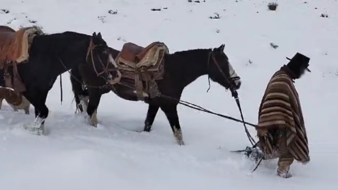 Se perdi� un baqueano en medio de la nieve: "Hab�a salido a buscar su caballo"