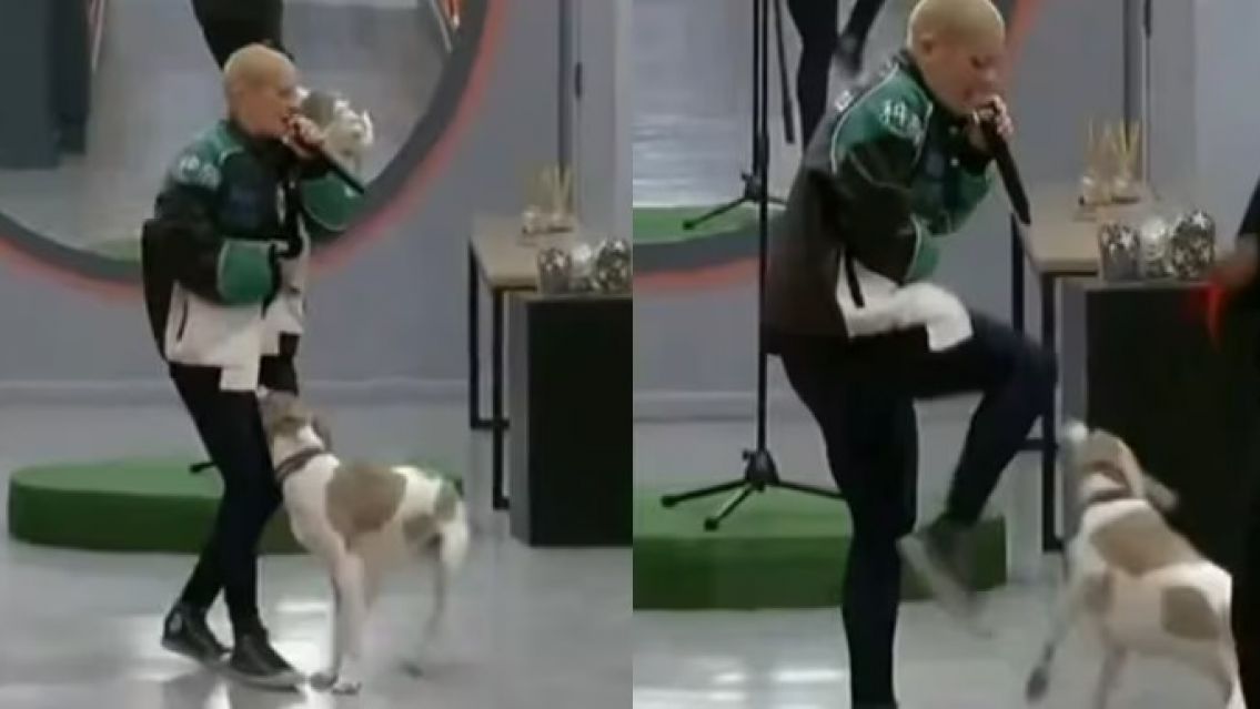 Furia se descontrol�, le peg� una patada a Arturo: "Expulsi�n directa"