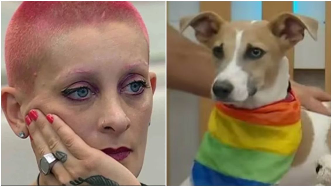 Piden la expulsión de Furia por lo que le hizo al perro de Gran Hermano