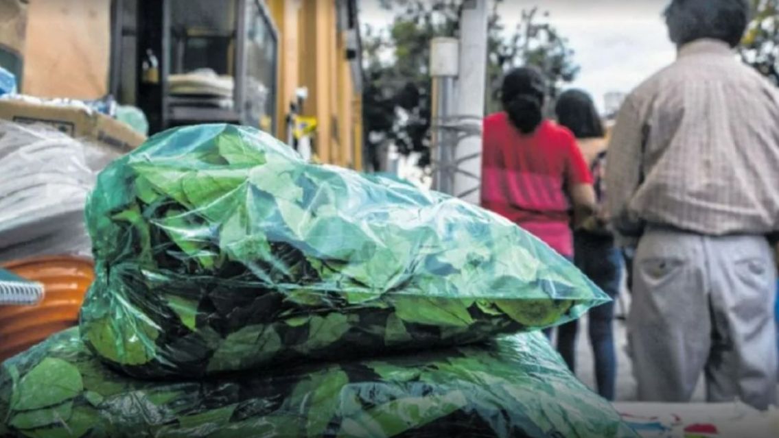 "Por la suba del dólar", aumentó el precio de la hoja de coca: a cuánto está