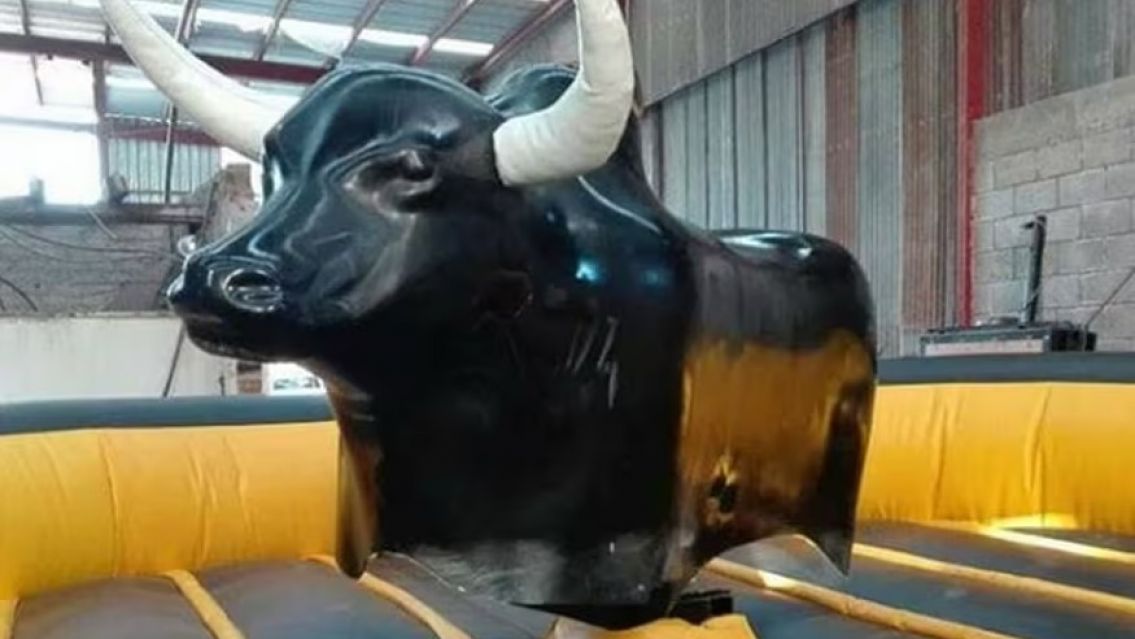 Muri� una nena tras caer de un toro mec�nico: las hip�tesis