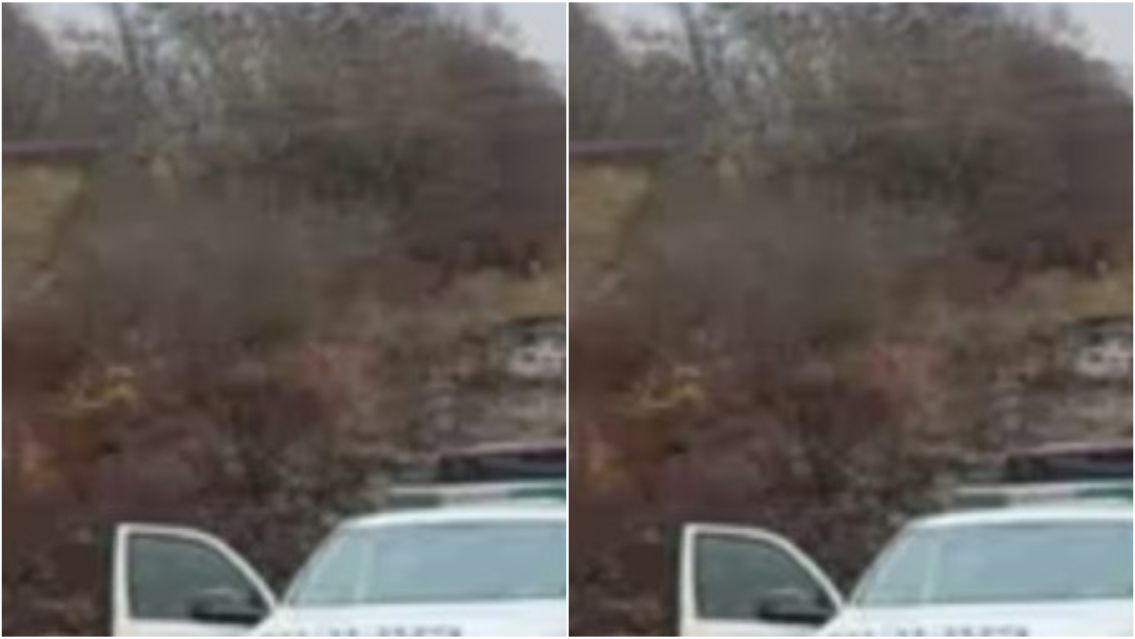 Atropelló y mató a un abuelito jujeño en plena ruta: tenía 80 años