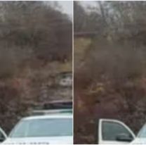 Atropell&oacute; y mat&oacute; a un abuelito juje&ntilde;o en plena ruta: ten&iacute;a 80 a&ntilde;os