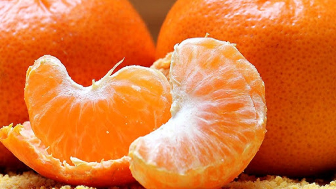 Primaverita en Jujuy, �hasta cu�ndo dura?