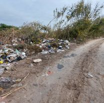 Basura por todas partes: El gran problema de Palpal&aacute;