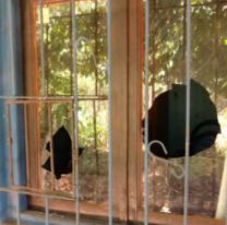 Brutal golpiza de una familia a dos juje&ntilde;as: las apedrearon y atacaron su casa a tiros