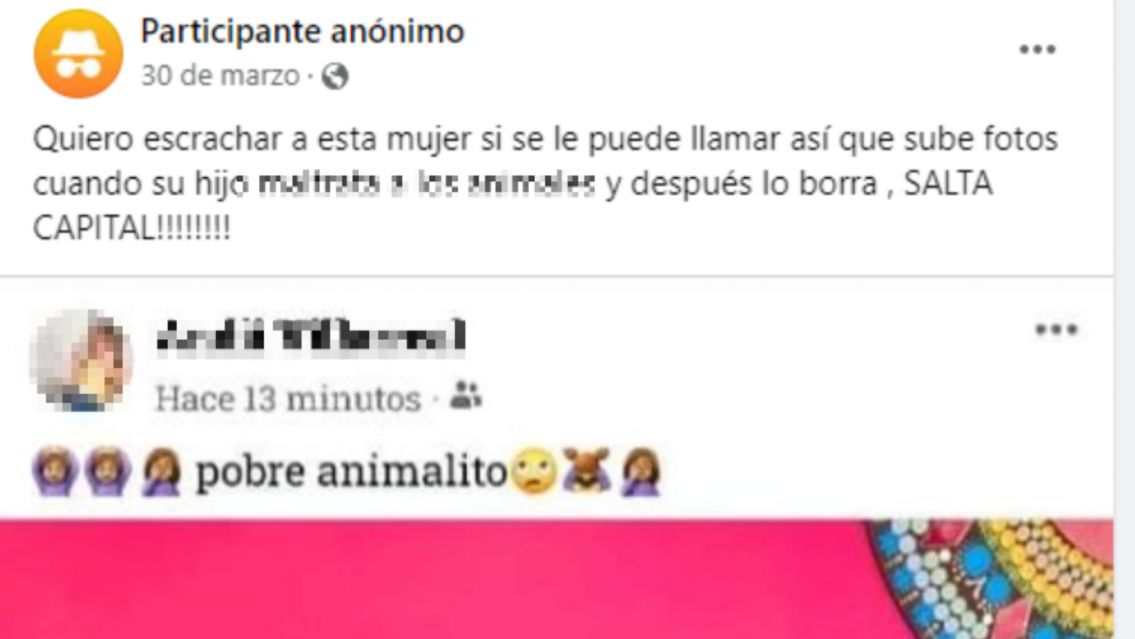 Salteña acusada de subir fotos terribles de su hijito al face: "Pobres animalitos"
