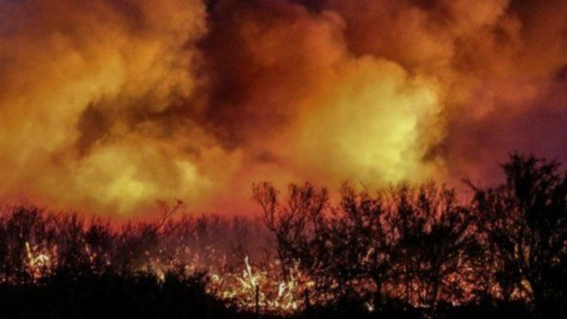 Jujuy en peligro por posibles incendios: el viento zonda podr�a arrasar