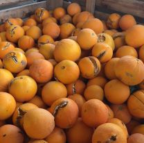 La naranja de la muerte: Terrible tragedia se llevó la vida de un jujeño