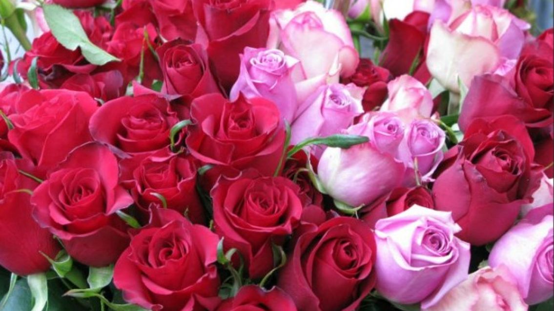 Qu� significa sentir el olor a rosas en la casa