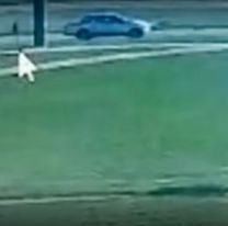 Arriba de una camioneta y con un hombre: el llamado al 911 que ingres&oacute; de Loan