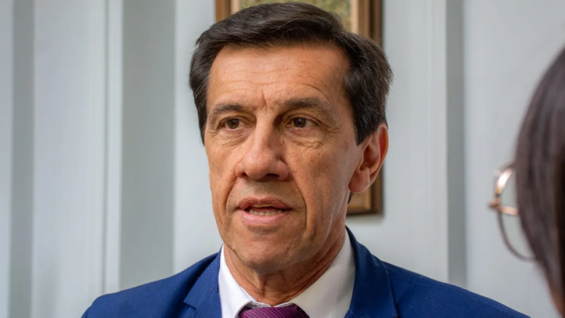 Carlos Sadir: "Las provincias mineras, petroleras y gas�feras tenemos un especial inter�s en el RIGI"