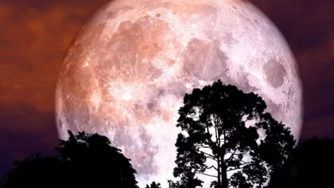 Luna llena en Capricornio: los cinco signos del zodíaco que se verán más beneficiados
