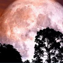 Luna llena en Capricornio: los cinco signos del zod&iacute;aco que se ver&aacute;n m&aacute;s beneficiados