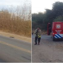 Revelaron detalles del accidente en ruta 34: una docente muerta y varios heridos