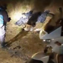 Detuvieron a los juje&ntilde;os que se disfrazaban de "polic&iacute;as salte&ntilde;os"