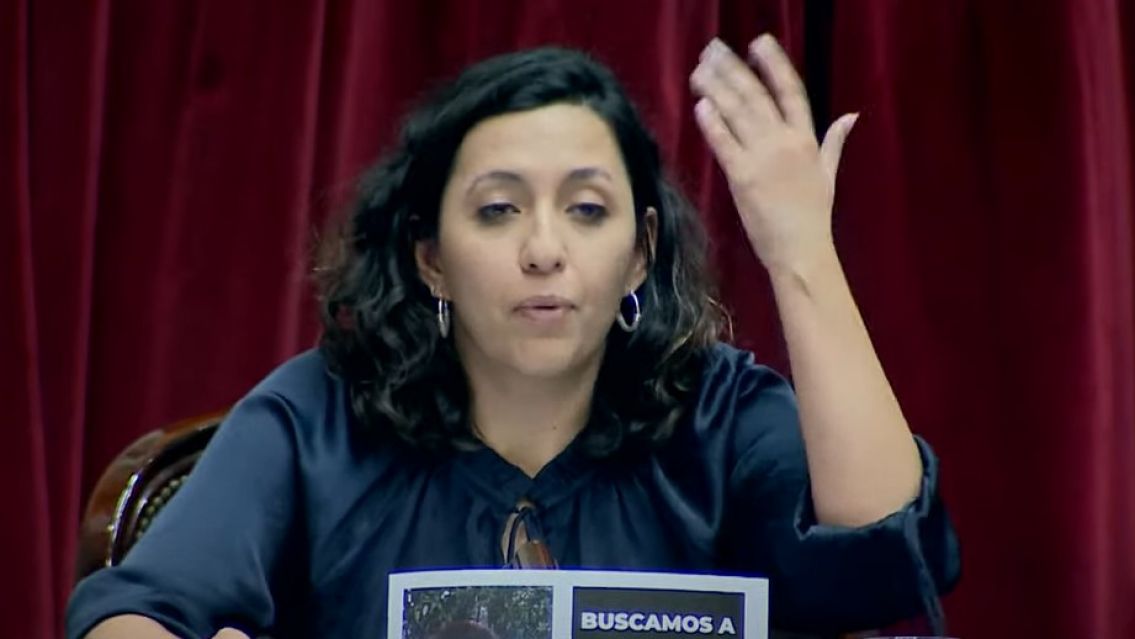 Leila Chaher responsabilizó a Sturtzenegger por los problemas con la Ley Bases