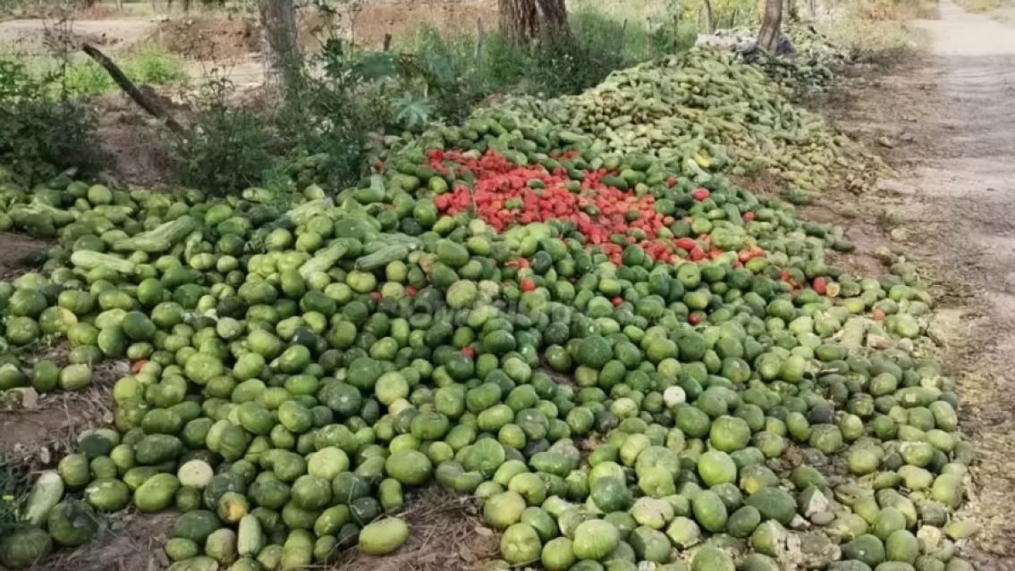 Por la caída de precios, productores de Jujuy tiraron verduras y frutas en la ruta