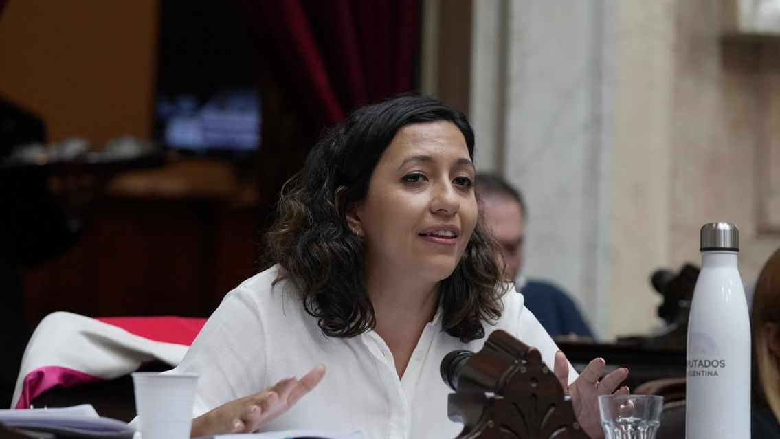 Leila Chaher cargó contra la Ley Bases: "Colocaron un cartel de Hotsale al país"