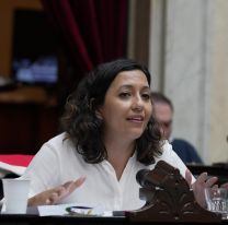 Leila Chaher carg&oacute; contra la Ley Bases: "Colocaron un cartel de Hotsale al pa&iacute;s"