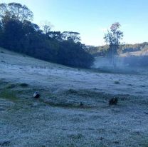Alerta por fr&iacute;o extremo en Jujuy:  As&iacute; ser&aacute;n los pr&oacute;ximos d&iacute;as