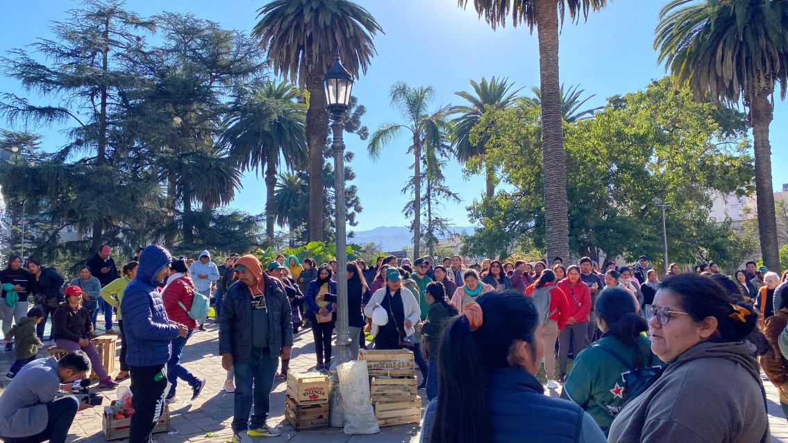 Reparten verduras gratis en Plaza Belgrano: Protesta de productores rurales