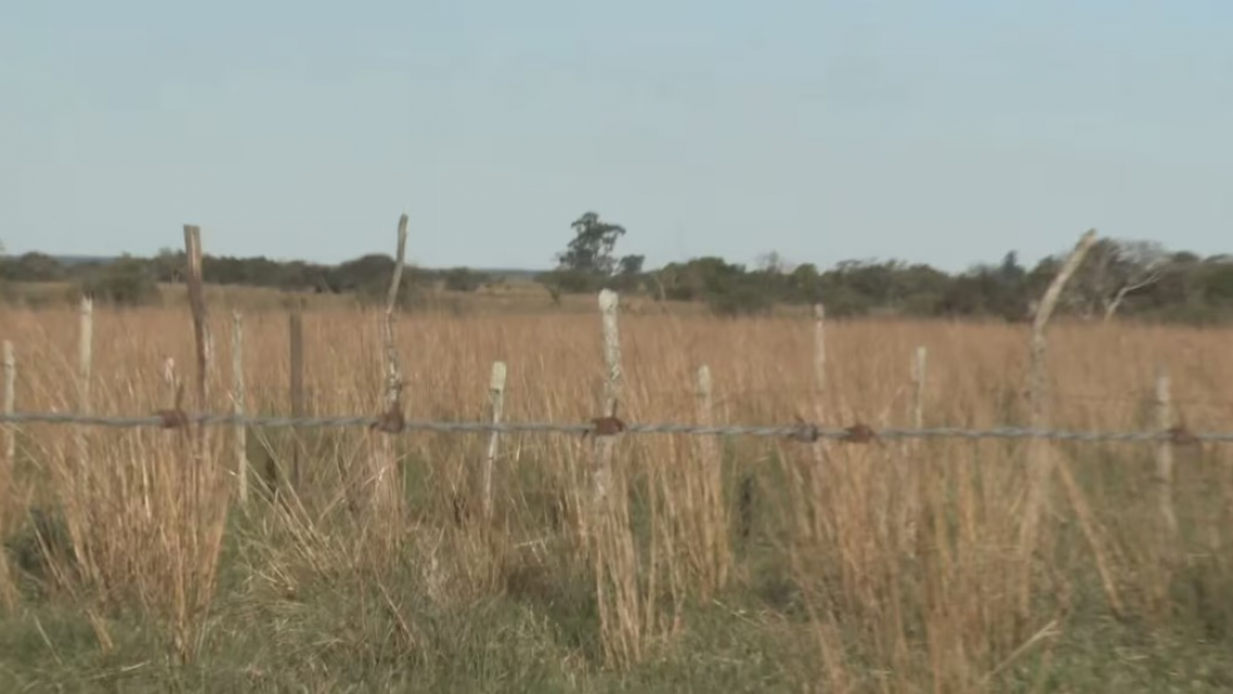 Caso Loan Peña: analizan una toalla con restos de sangre