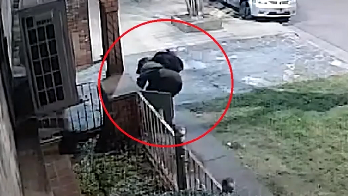 Envenenan perros para entrar a robar casas en Jujuy