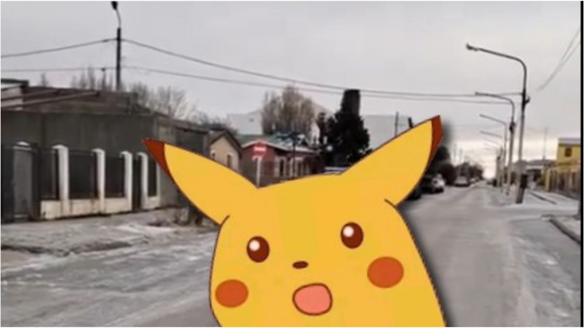 Salió a comprar pan y se topó con un animal extraño: dio miedo bajarse del auto