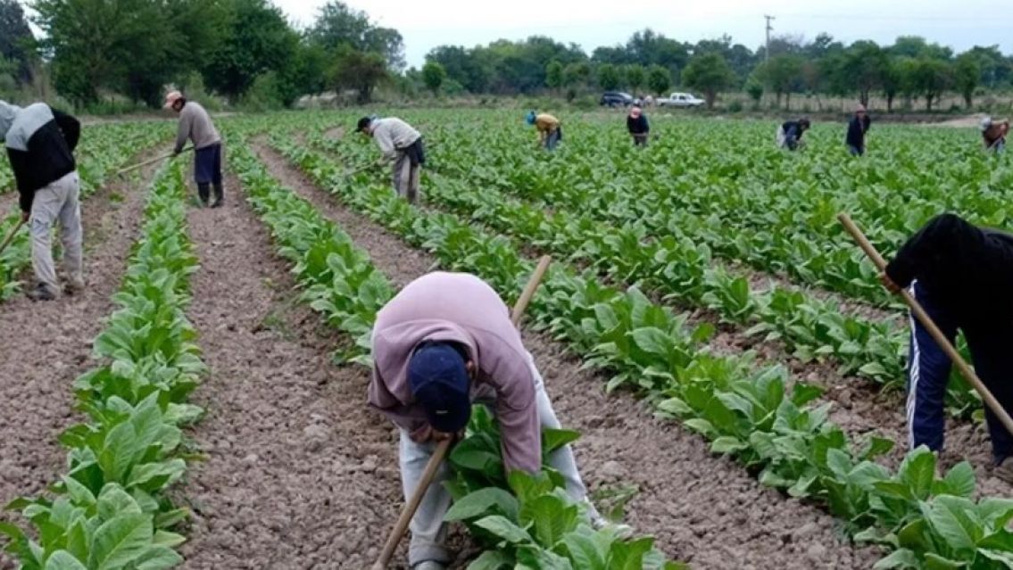 Milei no autoriza el pago y hay más de 4 mil familias jujeñas en peligro
